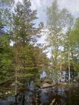 IMG_20180603_134206.jpg